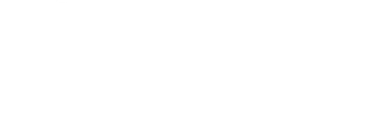 Smart Statyba logo